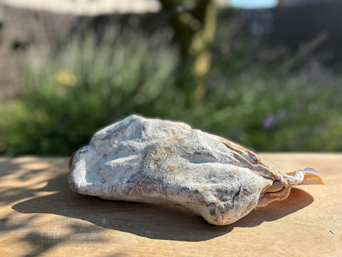 Noix d'épaule